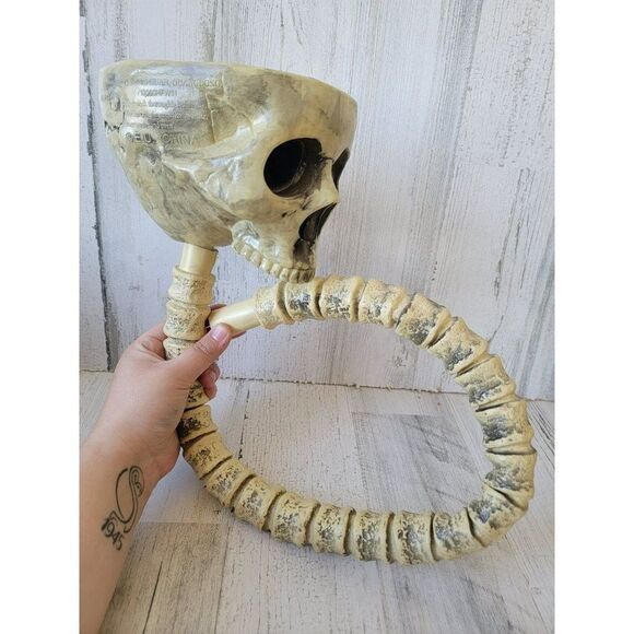EU skeleton skull spine Halloween beer drink funnel home decor - Picture 1 of 6